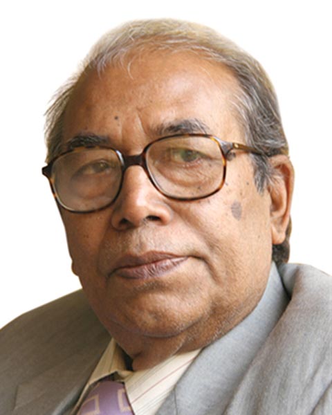 Professor Dr. Abdul Khaleque Photo